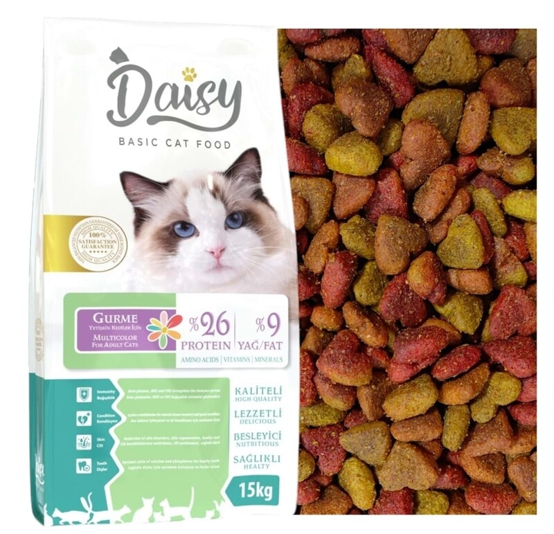 دراي فود (فل) للقطط الكبيرة 1 كغم