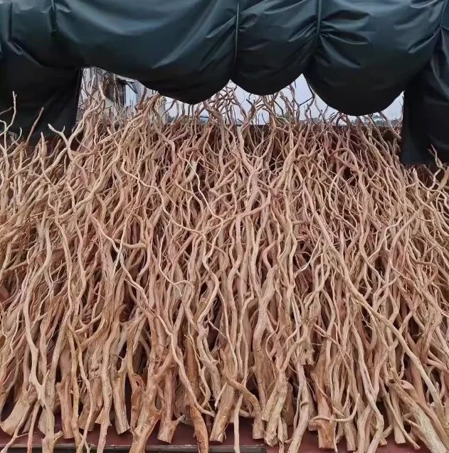 خشب متحجر اغصان طويلة 1 كغم