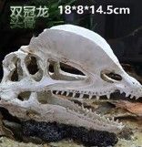 ديكور جمجمة تنين 18 سم