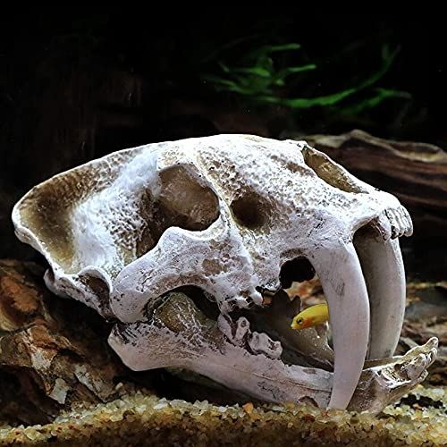 ديكور جمجمة نمر كبير 20 سم