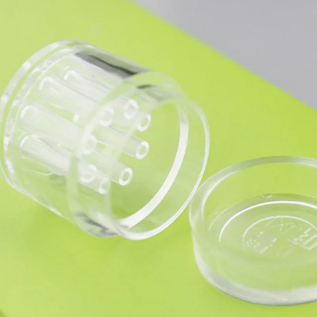 مصيدة ديدان البلاناريا