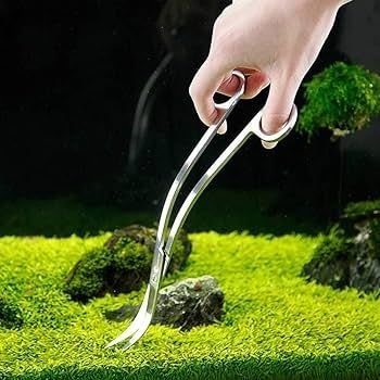مقص مموج لنباتات الحوض