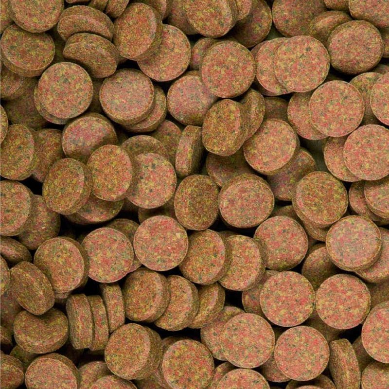 طعام الاسماك تروبيكال سوبرفيت-اقراص لاصقة - 50 قرص