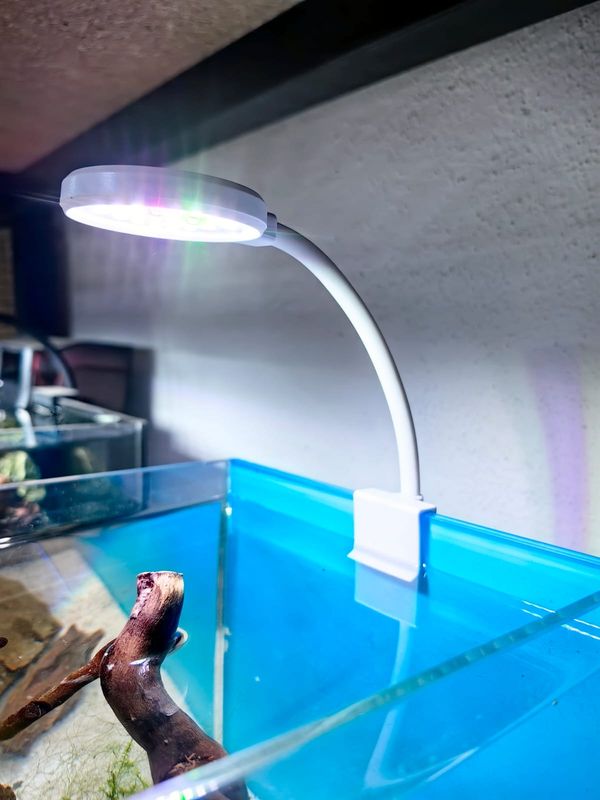 انارة تعليق صغيرة