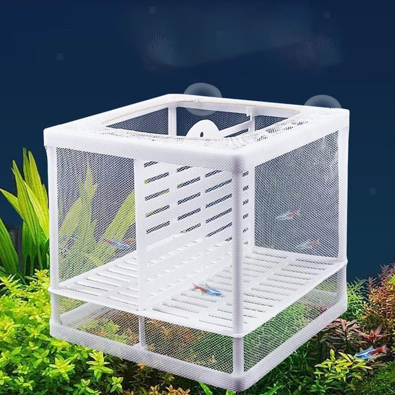 حاظنة لعزل الاسماك ثنائية صغيرة مع قاطع للافراخ بالاسفل 