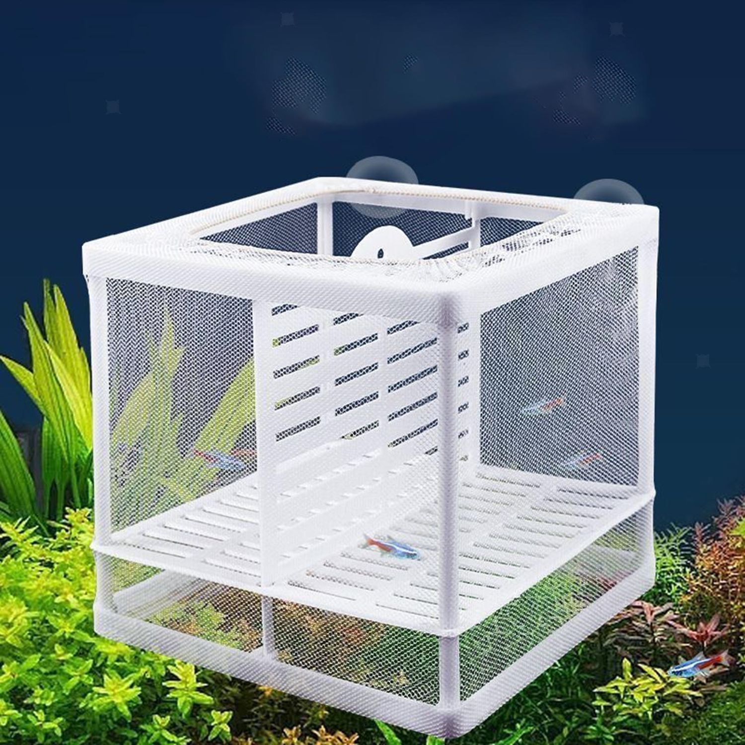 حاظنة لعزل الاسماك ثنائية صغيرة مع قاطع للافراخ بالاسفل 