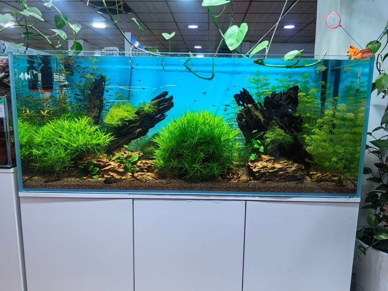 حوض سوبر وايت كلاس قياس 150*60*60 سم سمك 15 ملم