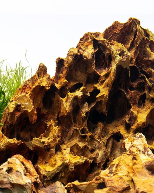 حجر دراجون ستون 1 كغم