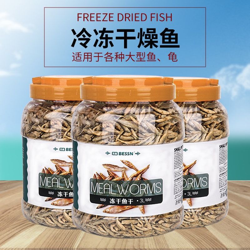 طعام الاسماك أسماك مجففة علبة 3 لتر 