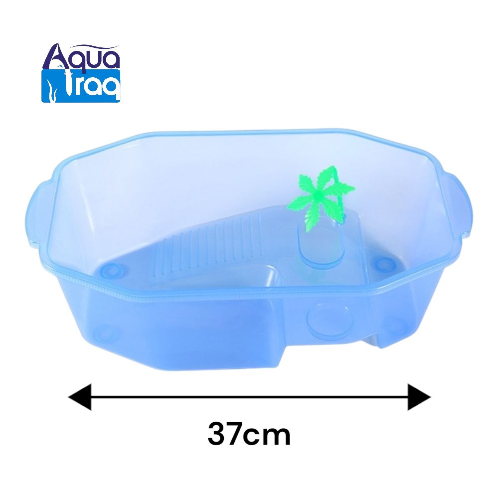 حوض سلحفاة برمائية حجم وسط بلاستيكي