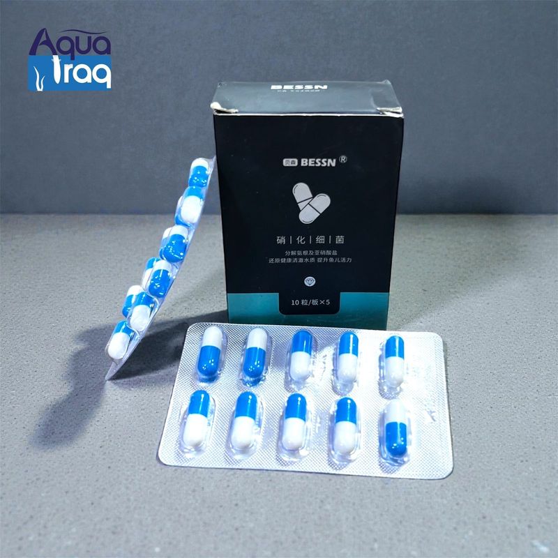 اضافة الاحواض بكتريا النترجة بيسين - شريط  10 كبسولات