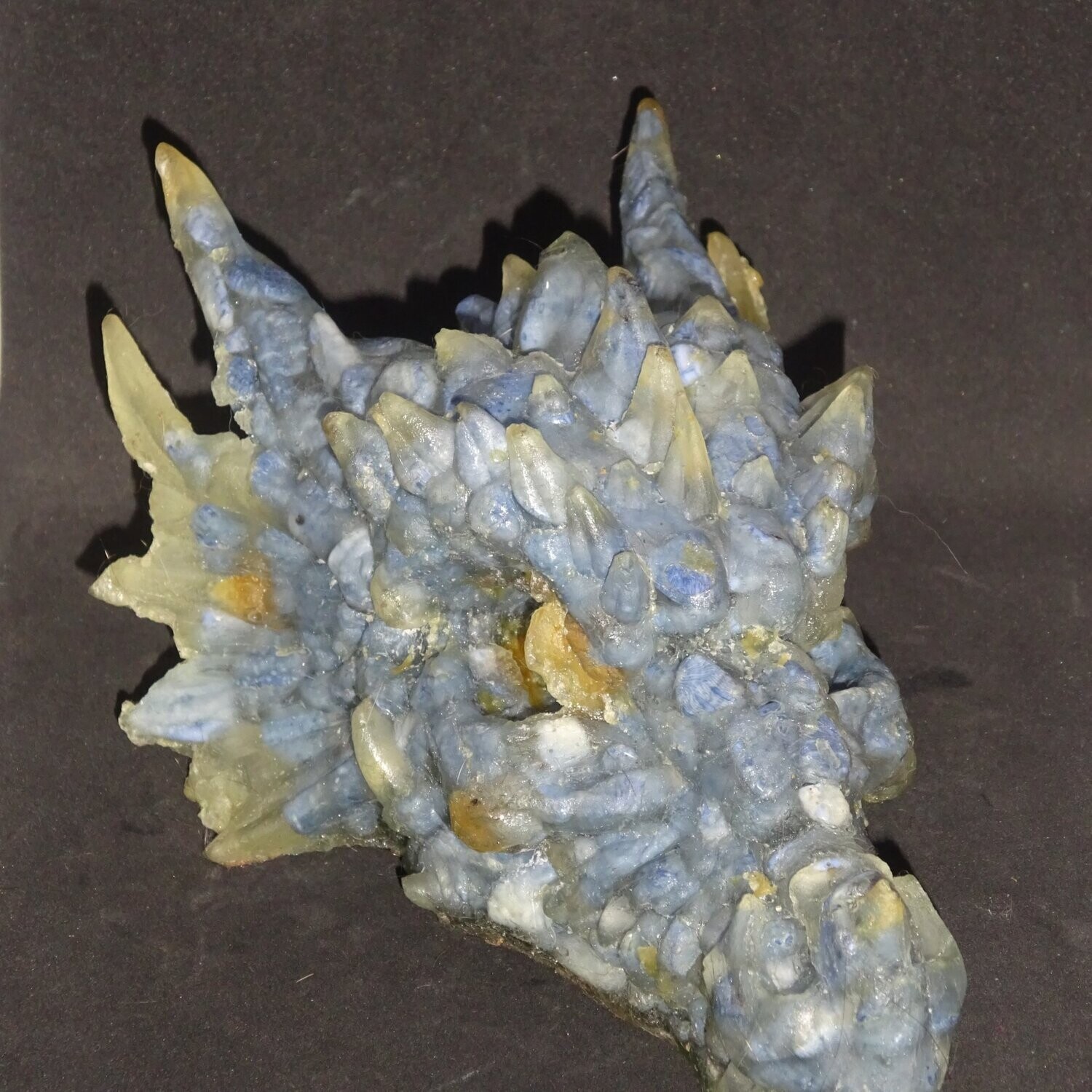 Drachenkopf aus der Neuen Zeit: Koralle, Blau 3