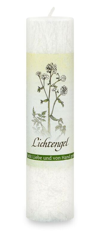 Allgäuer Heilkräuterkerze: Lichtengel Allgäuer Heilkräuterkerze: Lichtengel