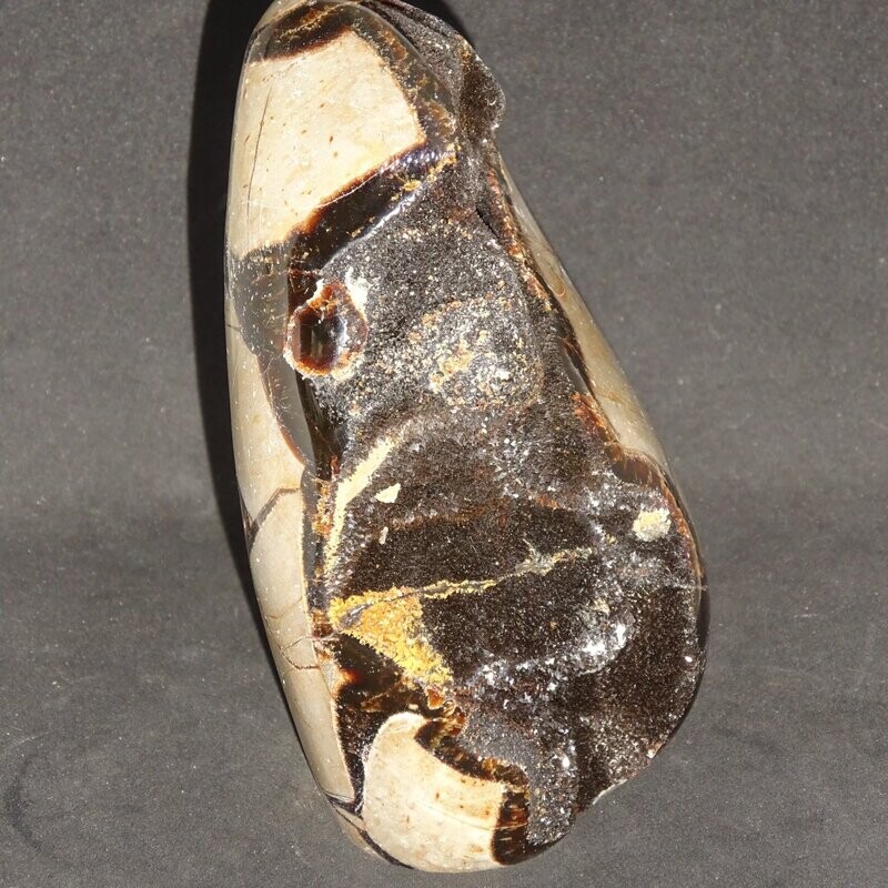 Kristallines Drachen Ei: Septarien 1 Kristallines Drachen Ei: Septarien 1