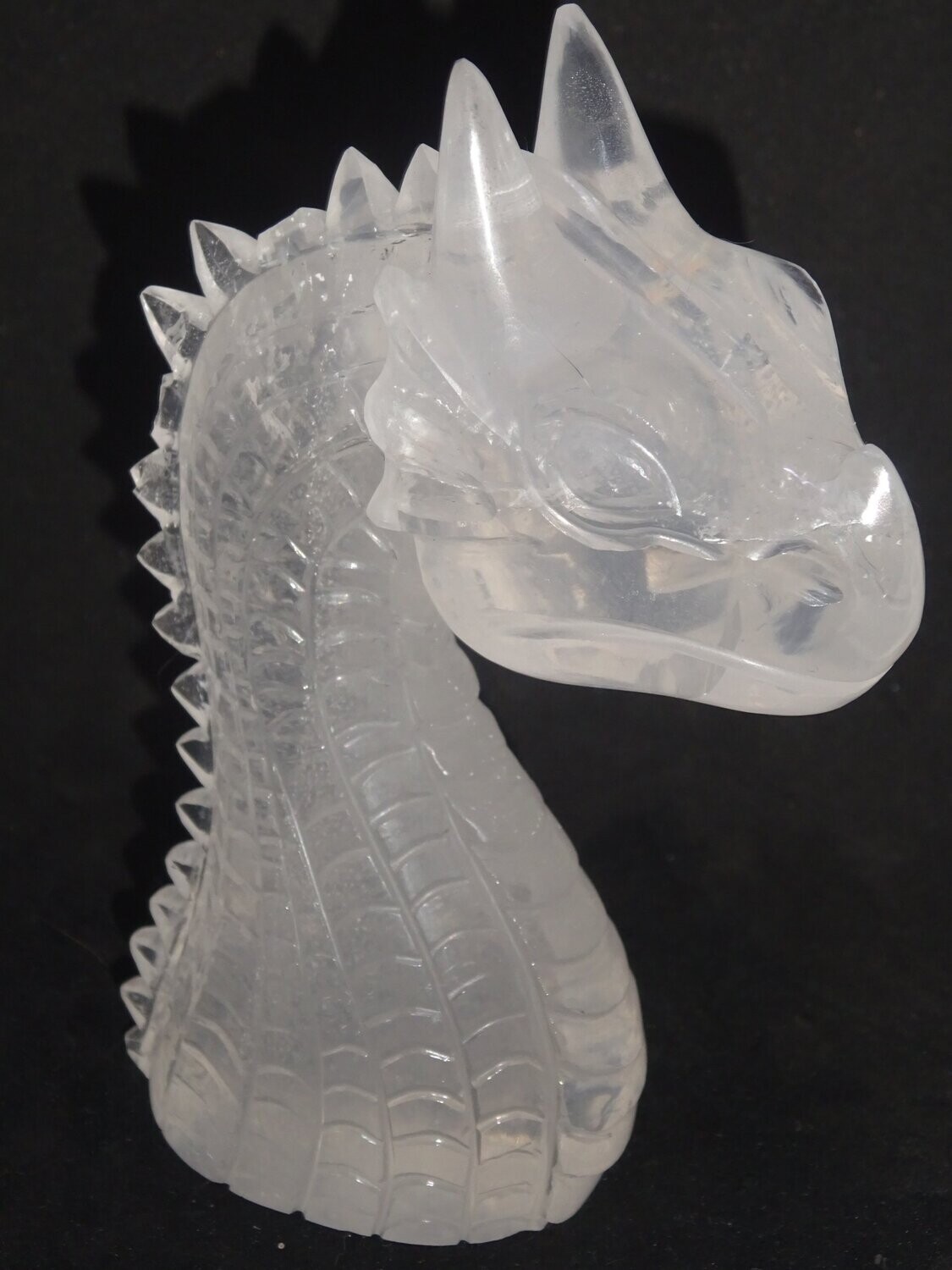Wasserdrache: Girasol