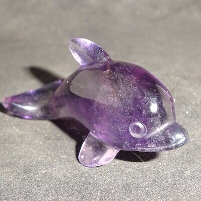 Delphin: Fluorit 3, violett