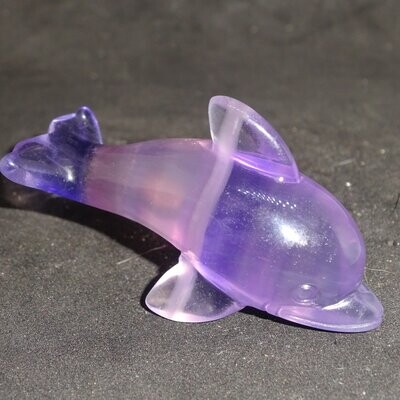 Delphin: Fluorit 1, violett