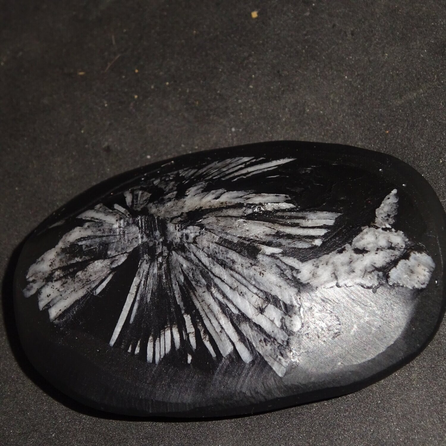 Handschmeichler: Chrysanthemenstein 4