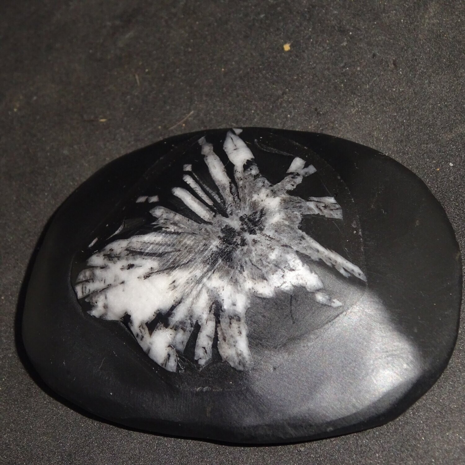 Handschmeichler: Chrysanthemenstein 3