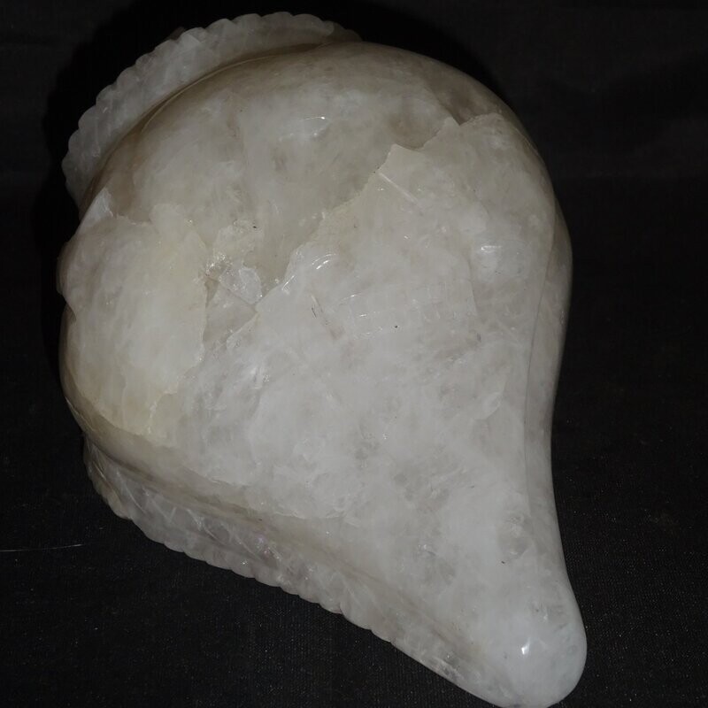 Meeresschneckendrache: Himalayaquarz 2 Meeresschneckendrache: Himalayaquarz 2