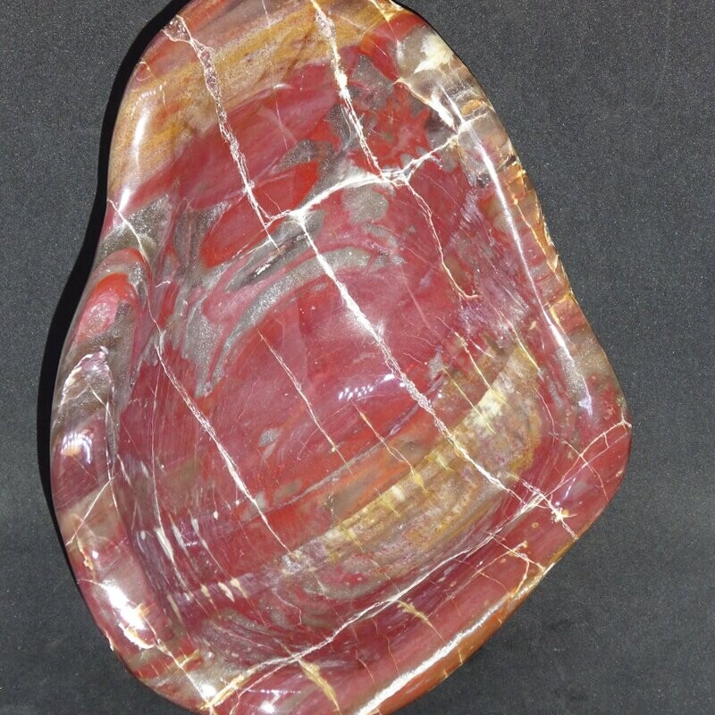 Kristallschale: versteinertes Holz Kristallschale: versteinertes Holz