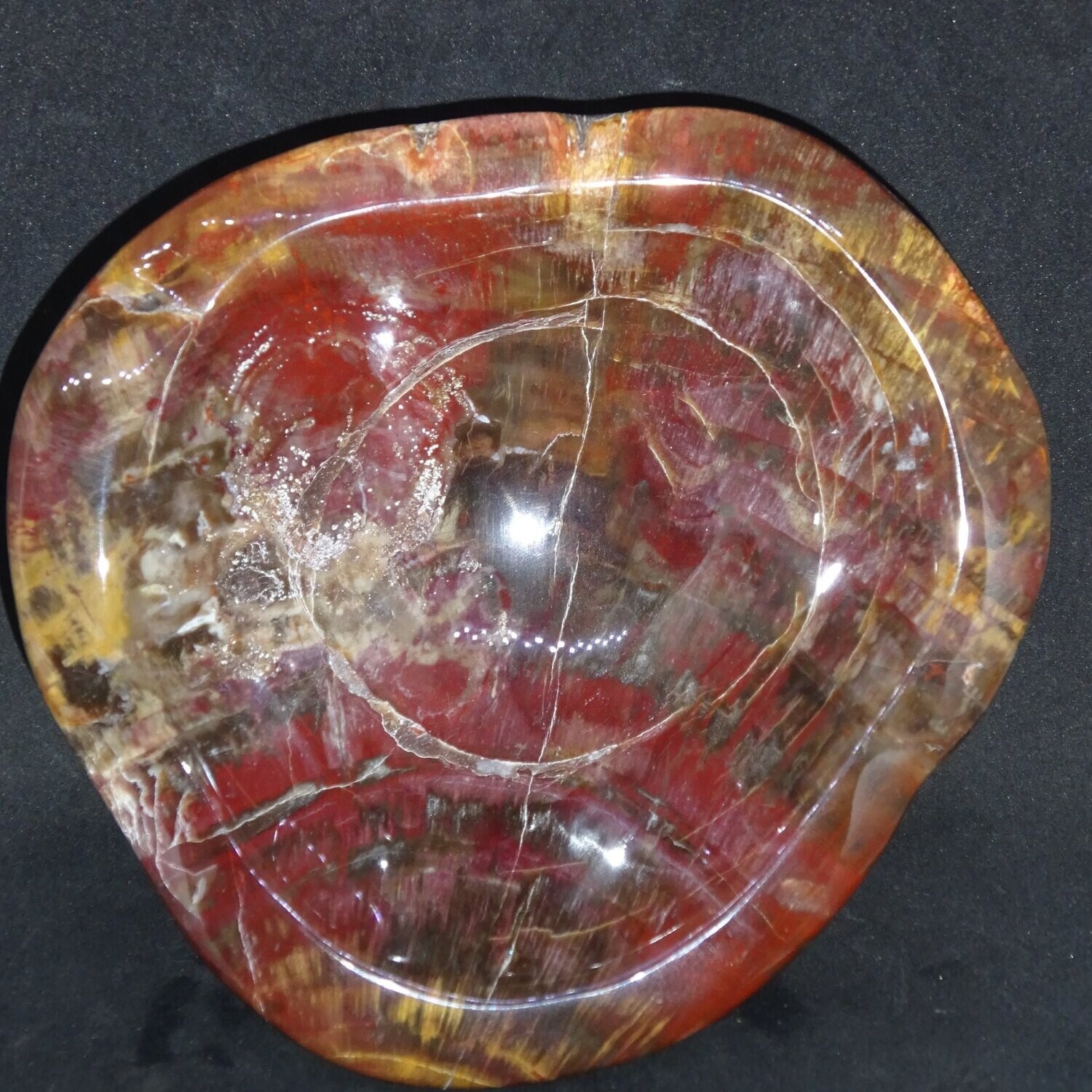 Kristallschale: versteinertes Holz 5