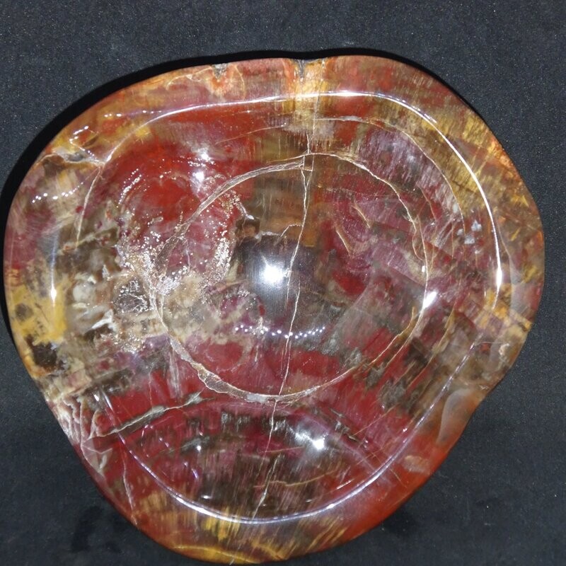 Kristallschale: versteinertes Holz 5 Kristallschale: versteinertes Holz 5