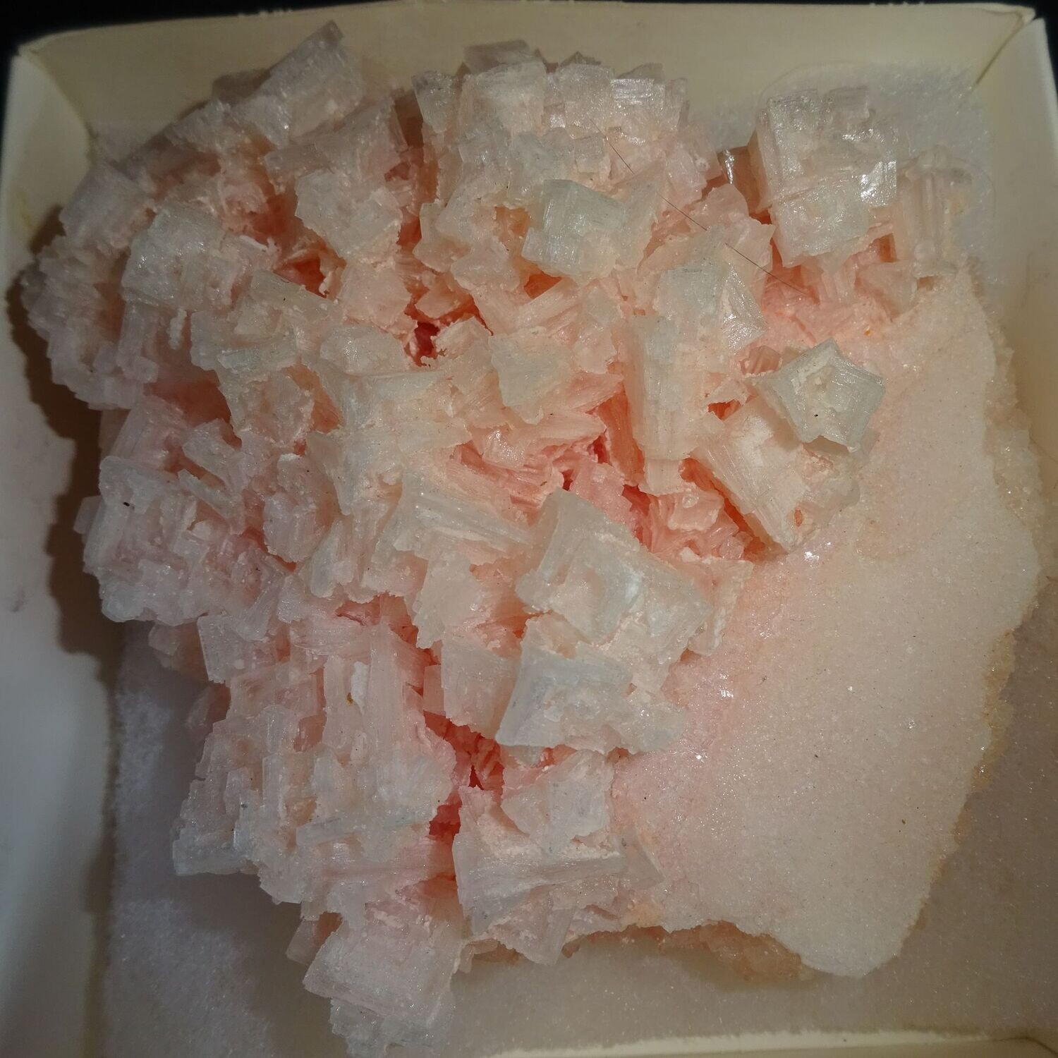 Kristallstufe: Halit, Rosa 1