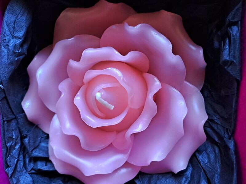Kerze: Rose