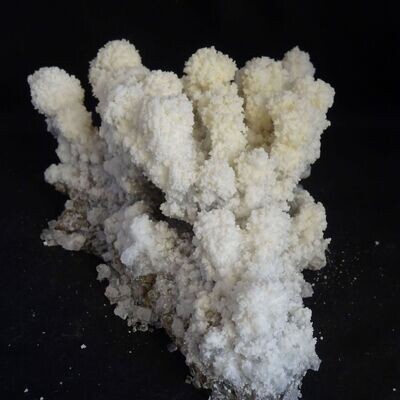 Drachenkopf: Salz auf Jaspis