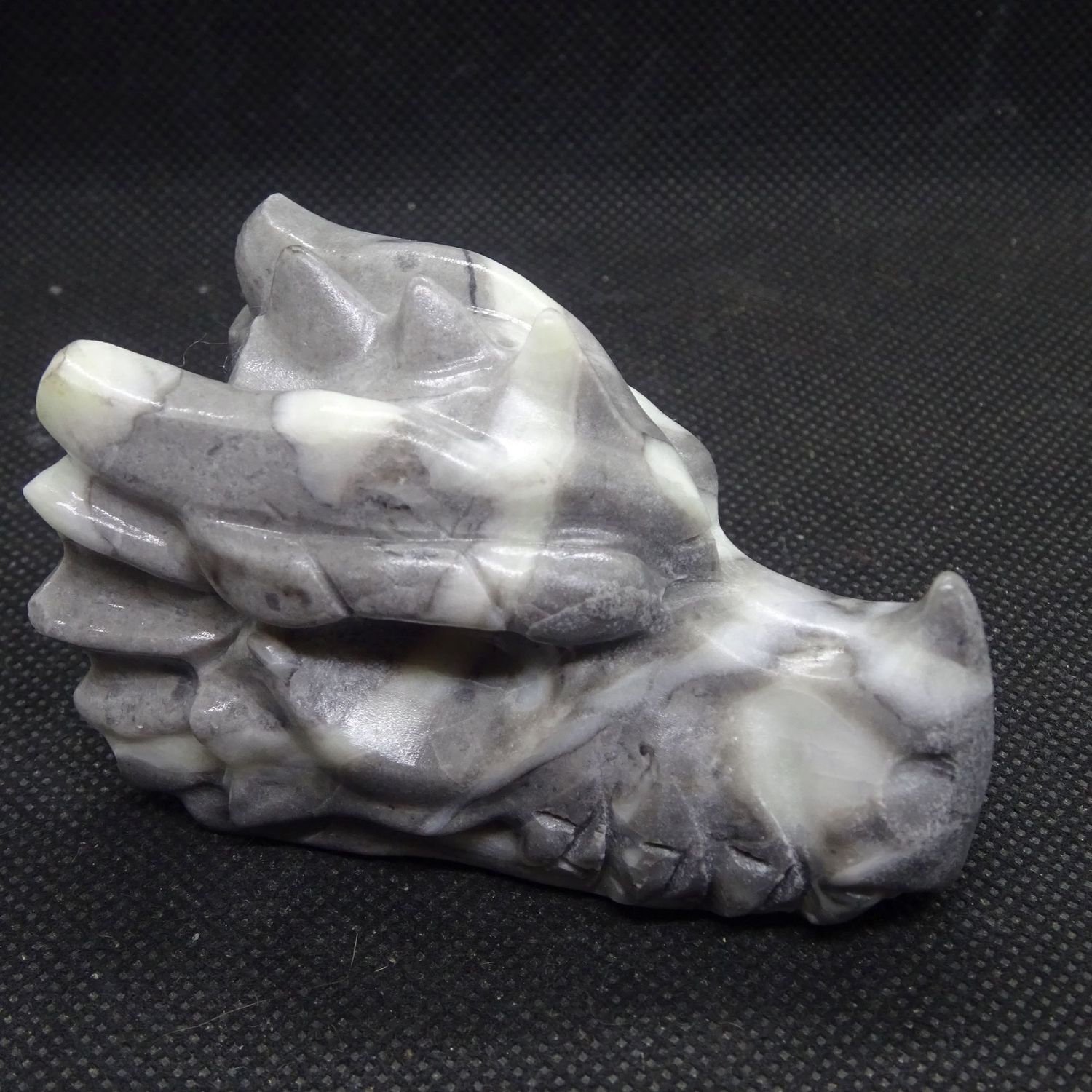 Drachenkopf: Muschelstein 1