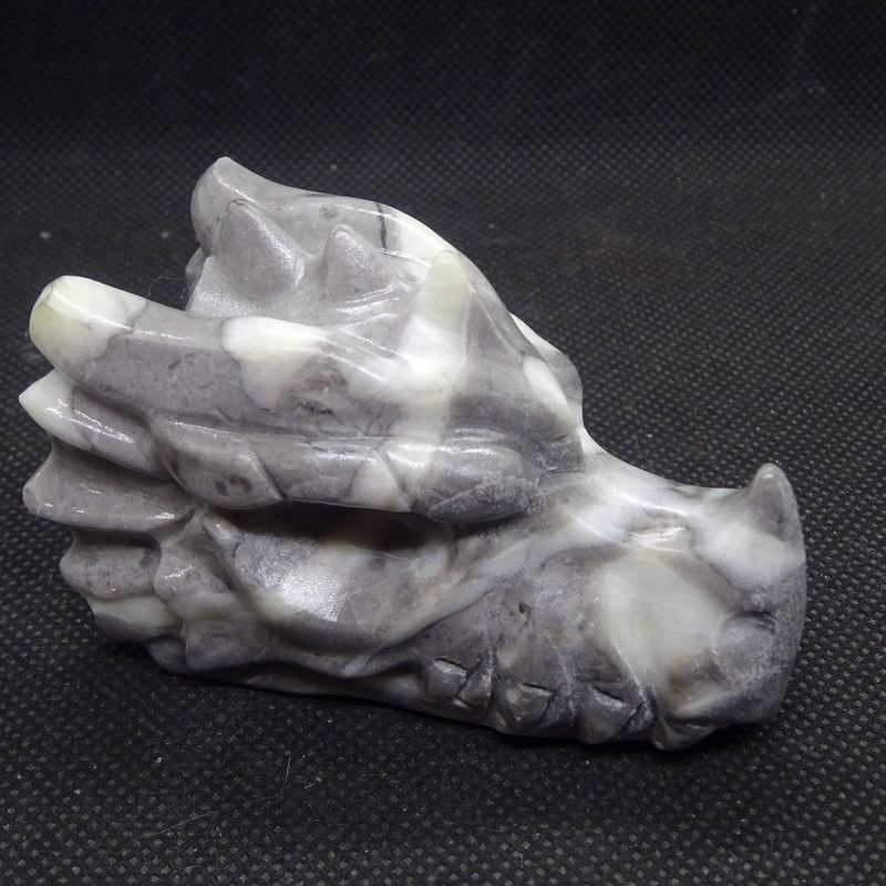 Drachenkopf: Muschelstein 1