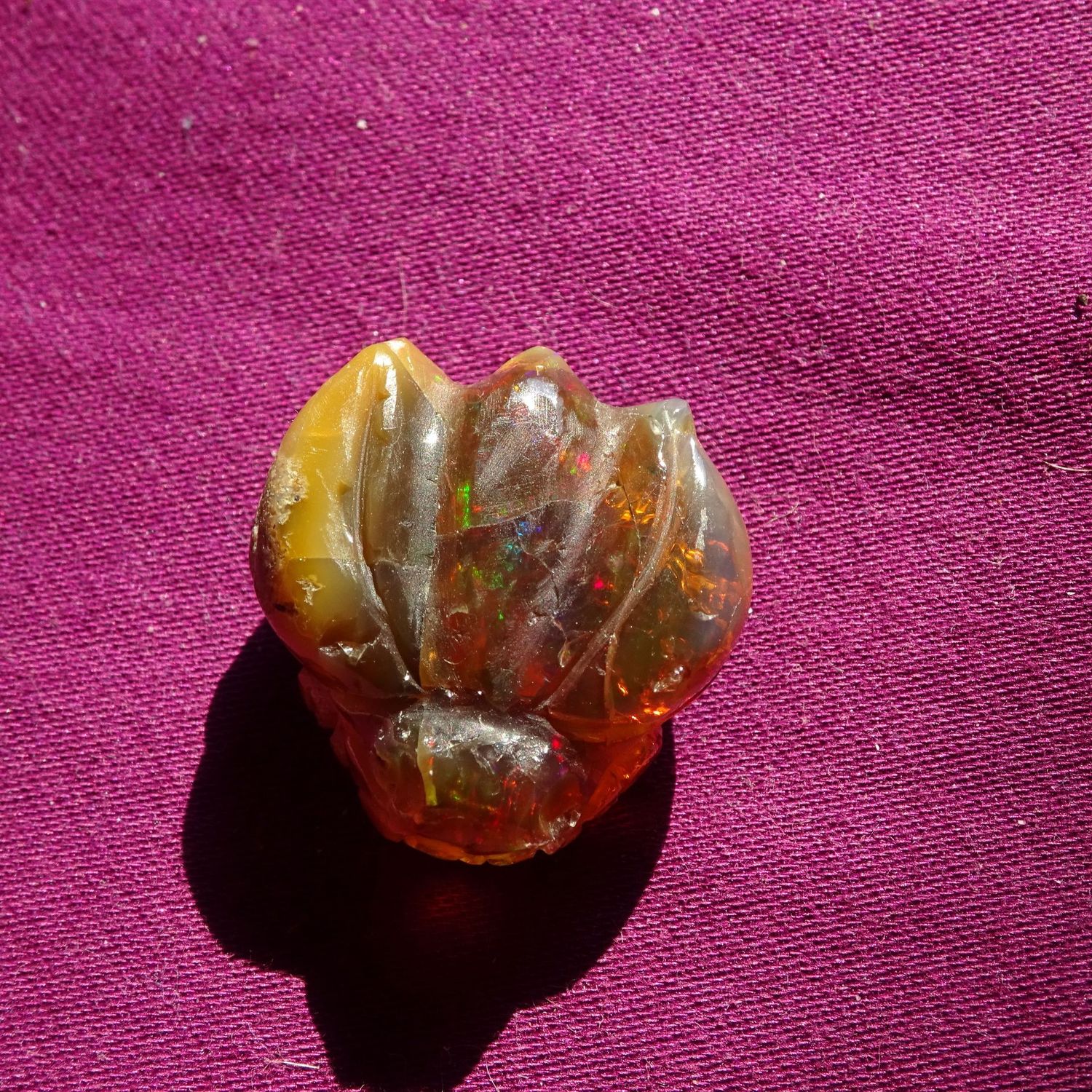 Drachenkopf: äthiopischer Opal 5