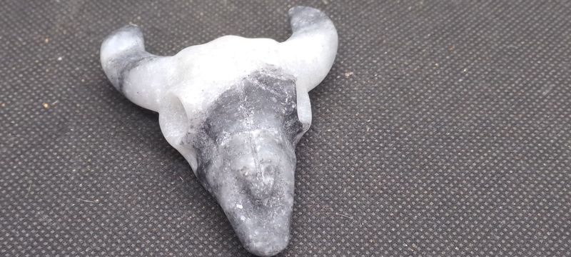 Kristallschädel: Büffelschädel aus unbekanntem Stein Kristallschädel: Büffelschädel aus unbekanntem Stein