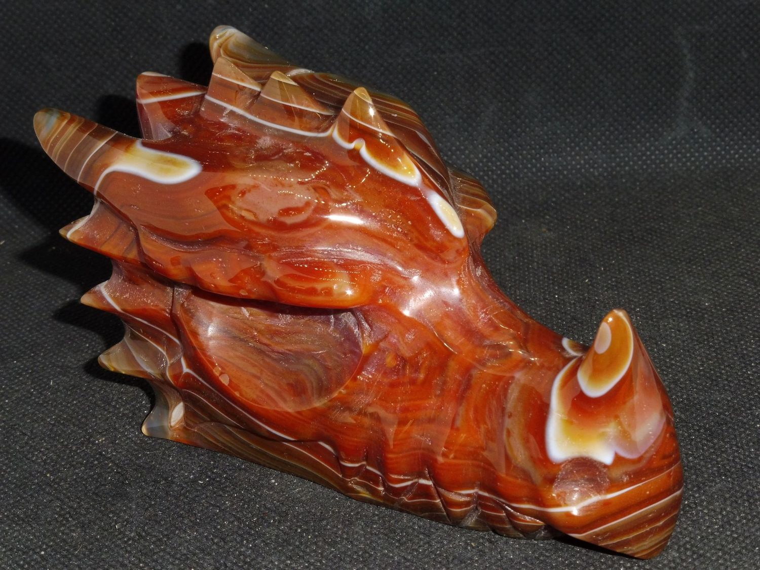 Drachenkopf: Carneol Drachenkopf: Carneol