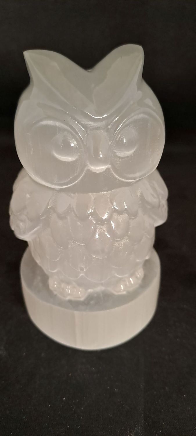 Kristall Eule: Selenit