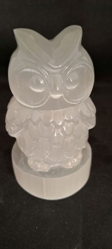 Kristall Eule: Selenit Kristall Eule: Selenit