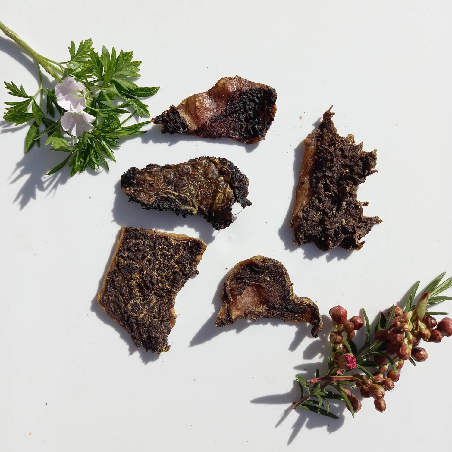 Tripe Treats 