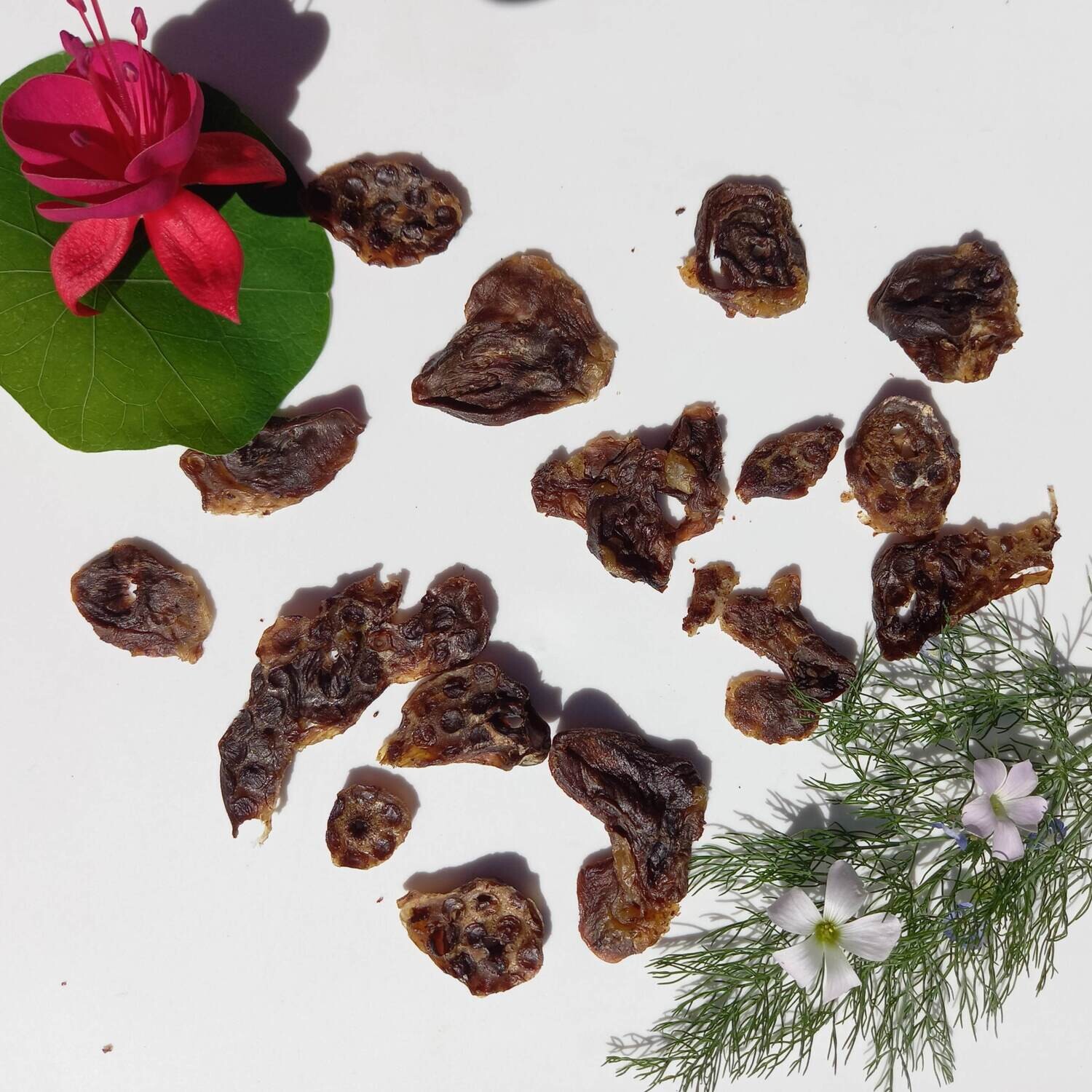 Duck Hearts