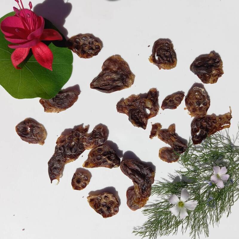 Duck Hearts