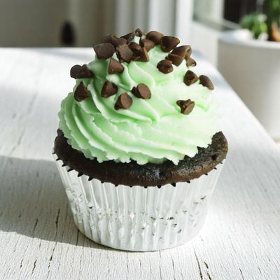 Mint Chocolate Chip