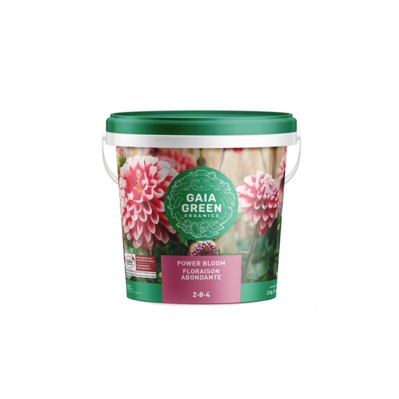 Gaia Power Bloom