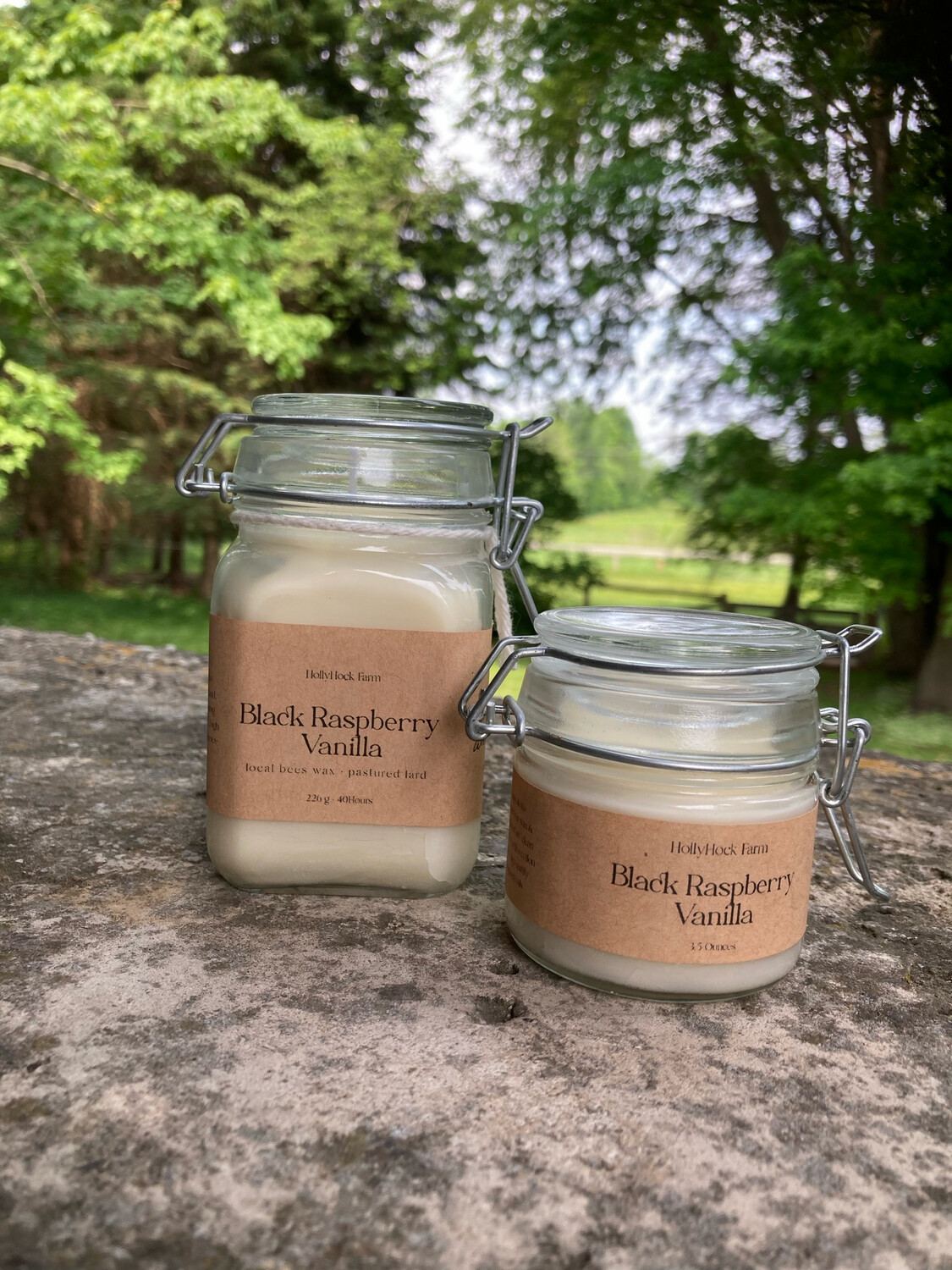 Black Raspberry Vanilla