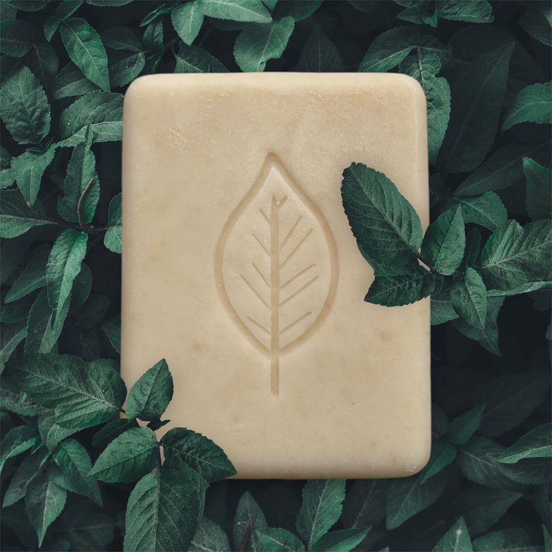 Wild Sage + Aloe