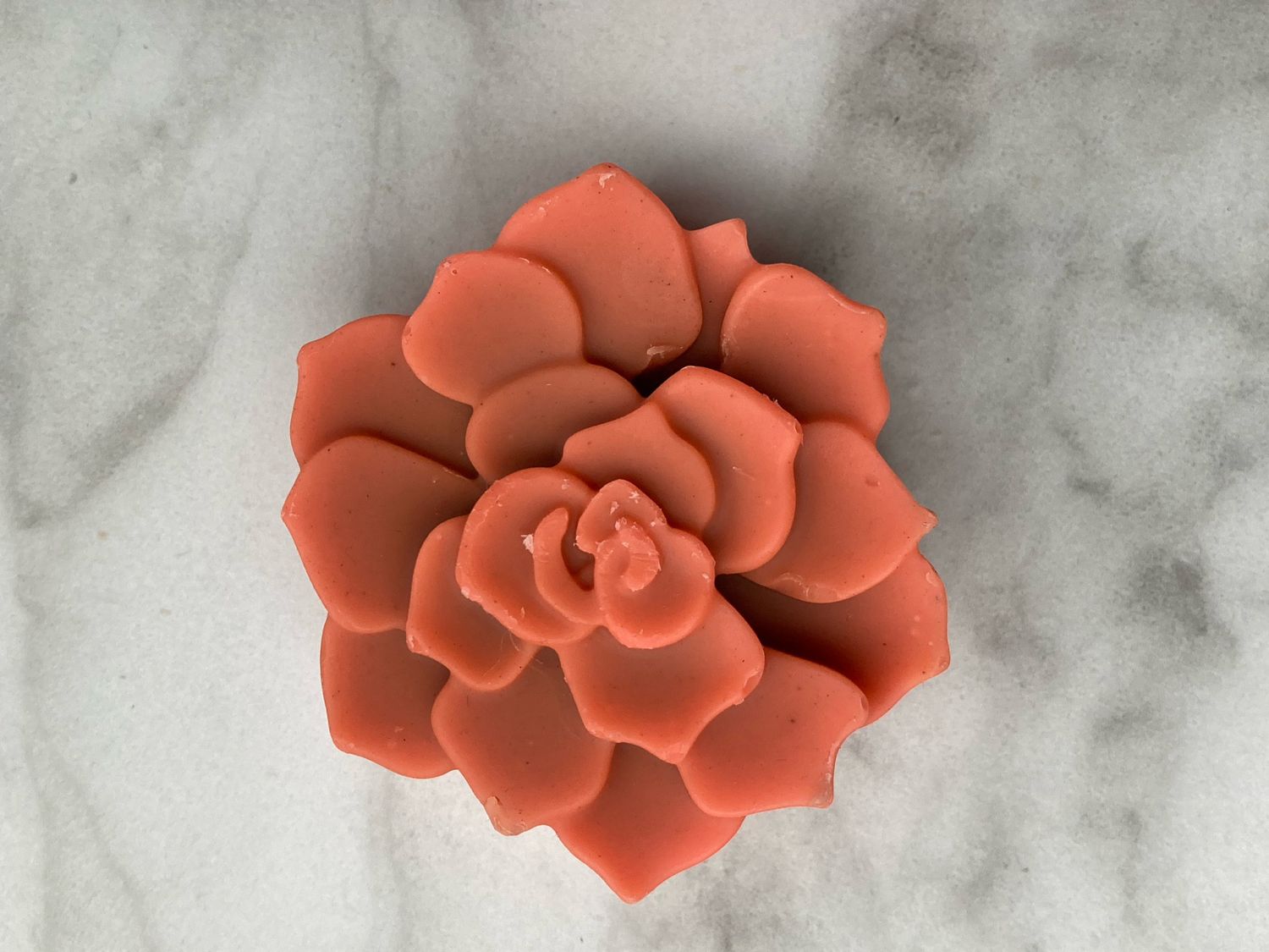 Geranium Rose