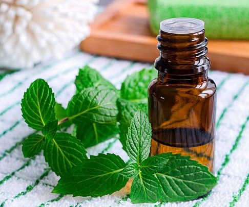 Peppermint Lip Balm