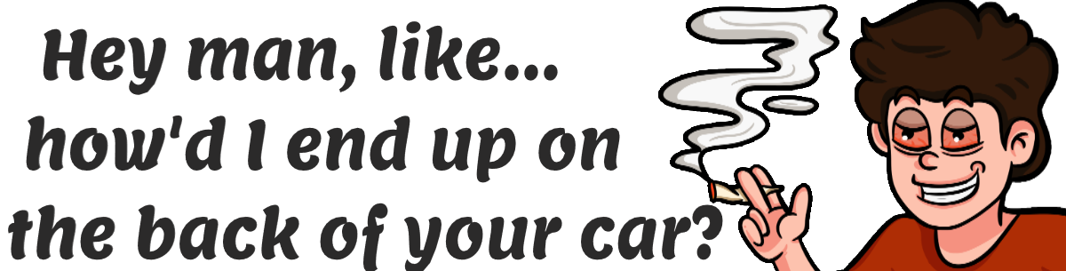 How&#39;d I End Up On The Back Of Your Car (Bumper Sticker 3x9 Decal)