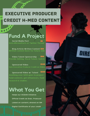 Executive Produce A Piece of Content