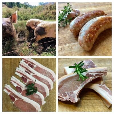 Forest Raised Pork