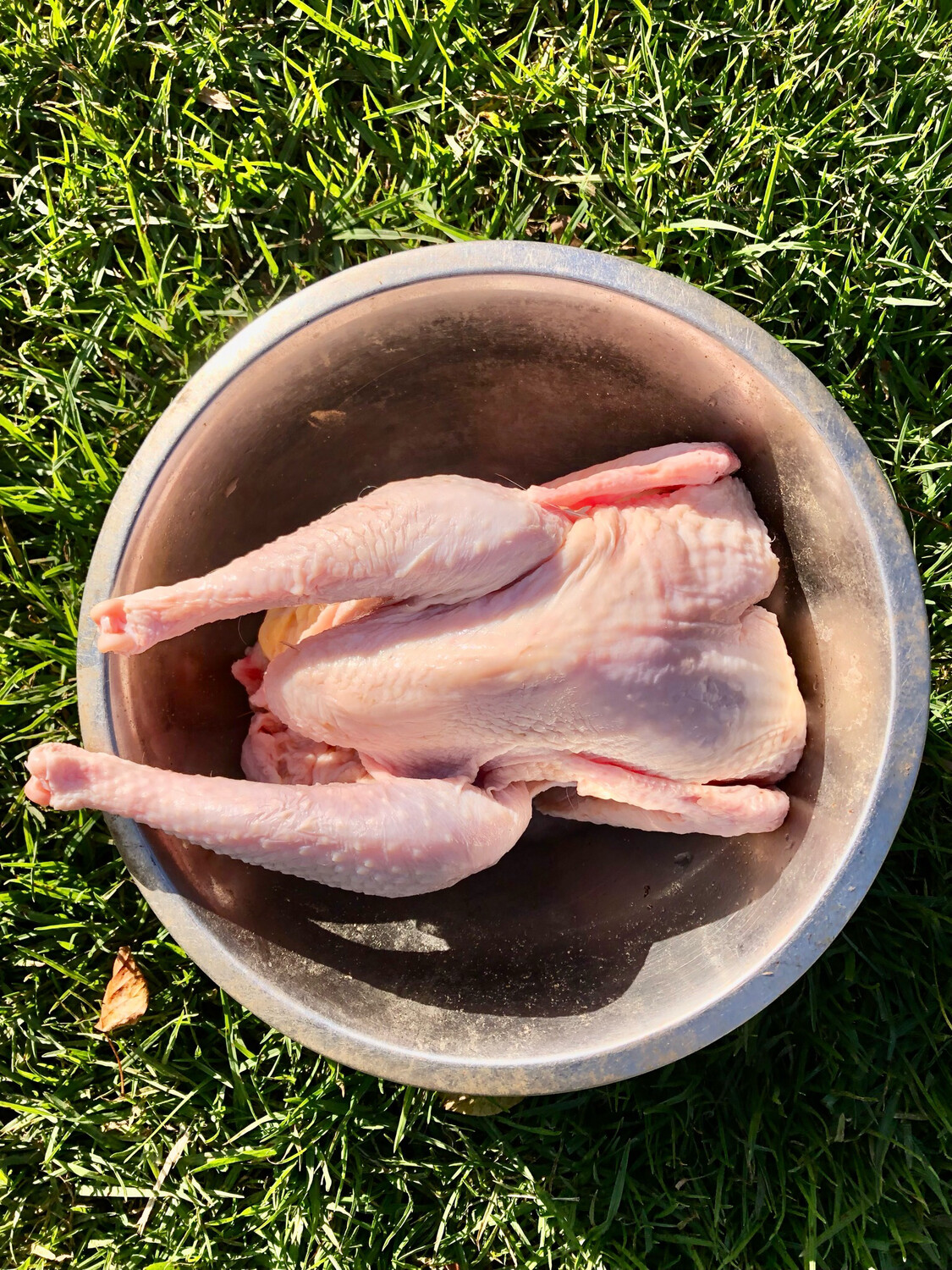 Raw Dog Food - Whole Chicken (old laying Hen)